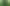 An illustration that shows two men standing on opposite sides of a small, green pond in a grassy field. A tree sways in the wind behind them.