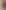 Muse Found in a Colonized Body_Cover.jpg