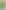 Cover of Something Evergreen Called Life by Rania Mamoun