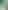 The Forest