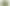 Photo of green lawns of a residential area