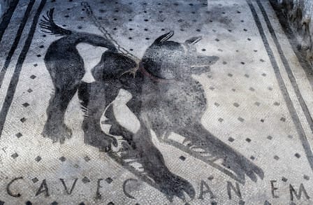 Cave Canem