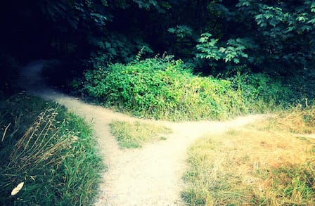 Image of a forked trail.