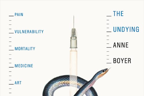 Anne Boyer, The Undying, cover