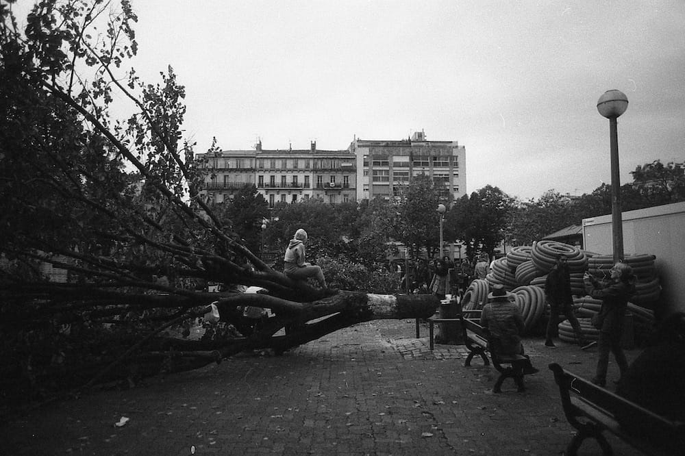 Woman sitting on downed tree in Marseille, France.