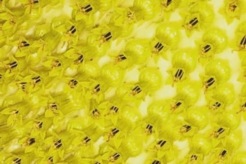 7b07006d1640a5c25dd079b06ff69fab25be6ddf