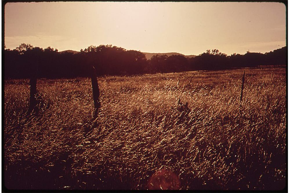 Sepia photo of a field