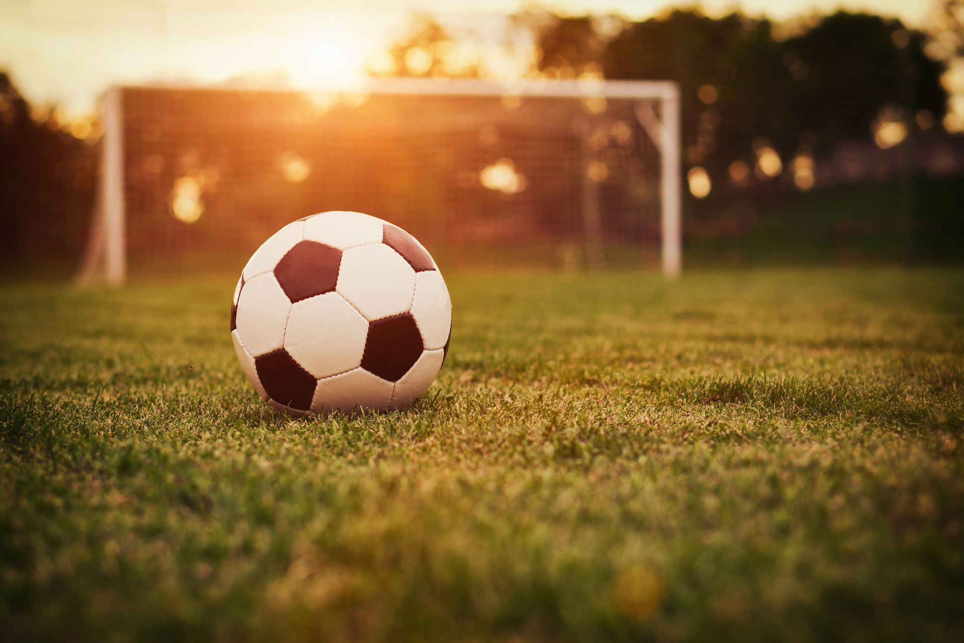 Photograph of soccer ball in front of a soccer goal.