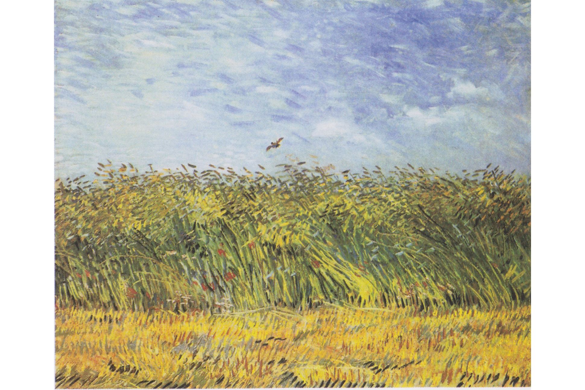 Colorful painting of a bird flying over a field of wheat and red poppies.