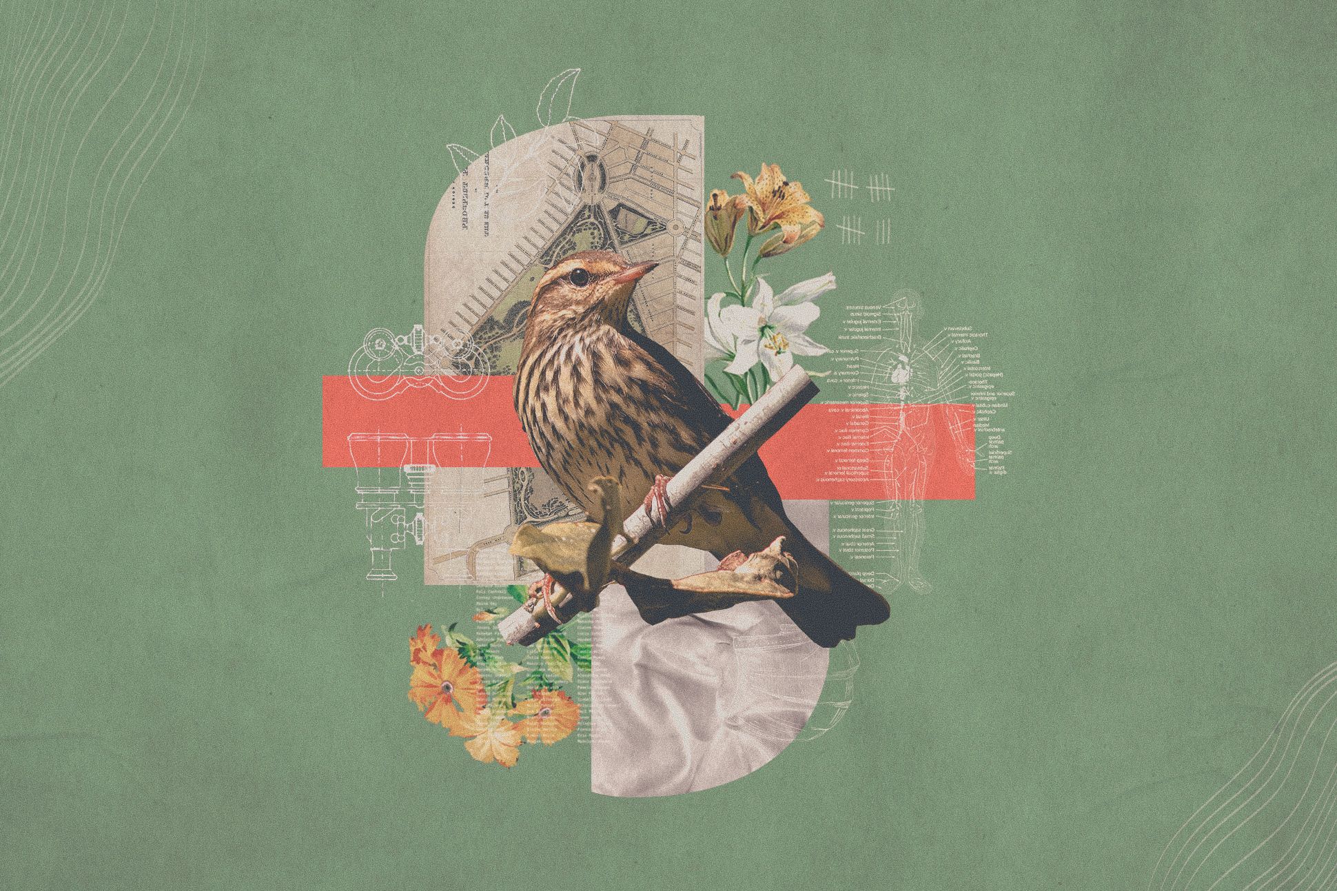 Collage with a bird in the center, surrounded by flowers and textured materials.
