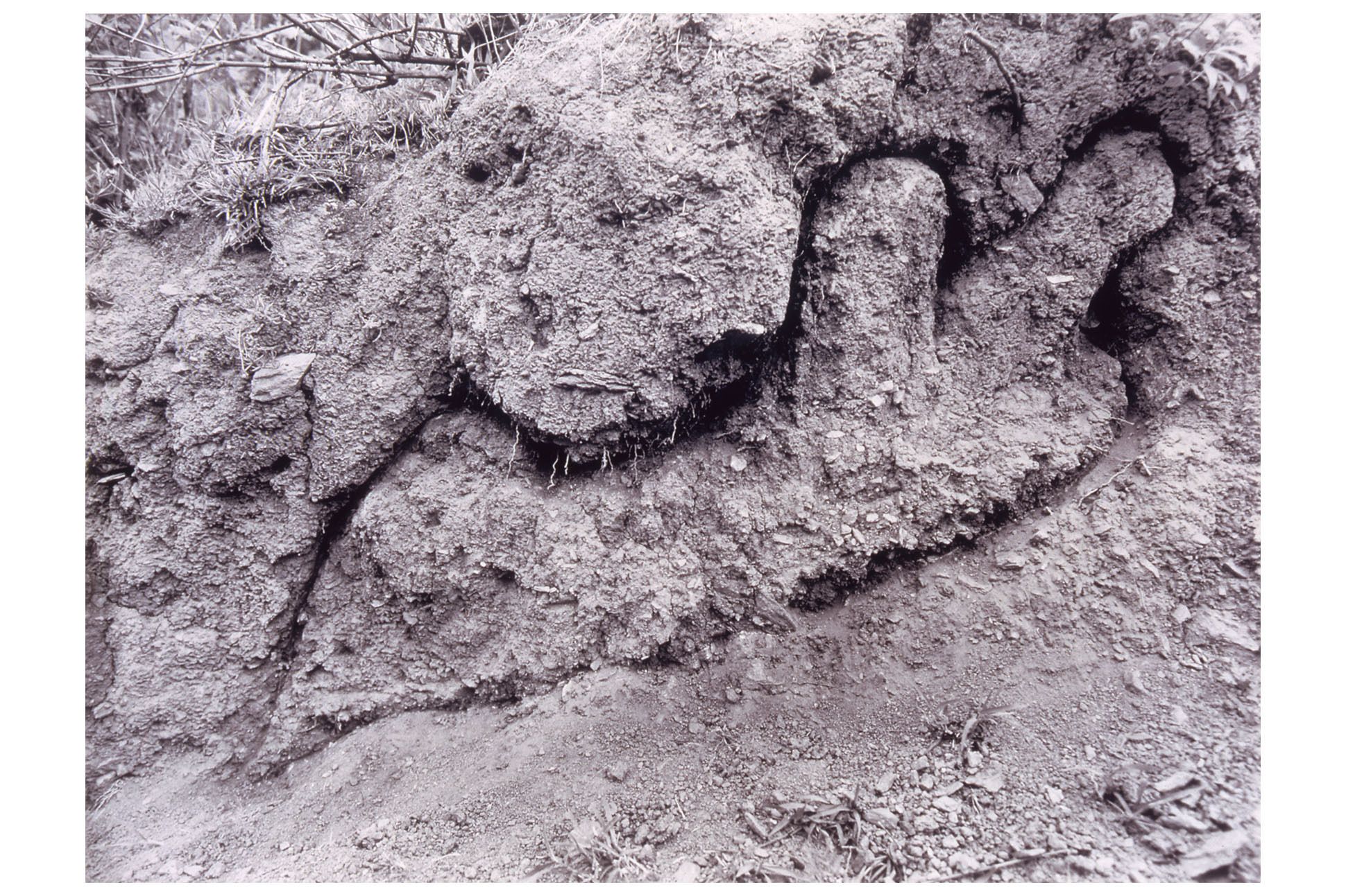 Ephemeral sculpture in soil of artist's silhouette.