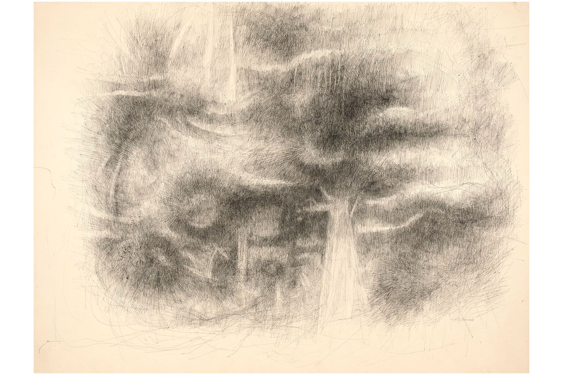 pen and ink illustration with an eerie fairy-tale quality, vague outlines of a lion? a sleeping girl? a tree.