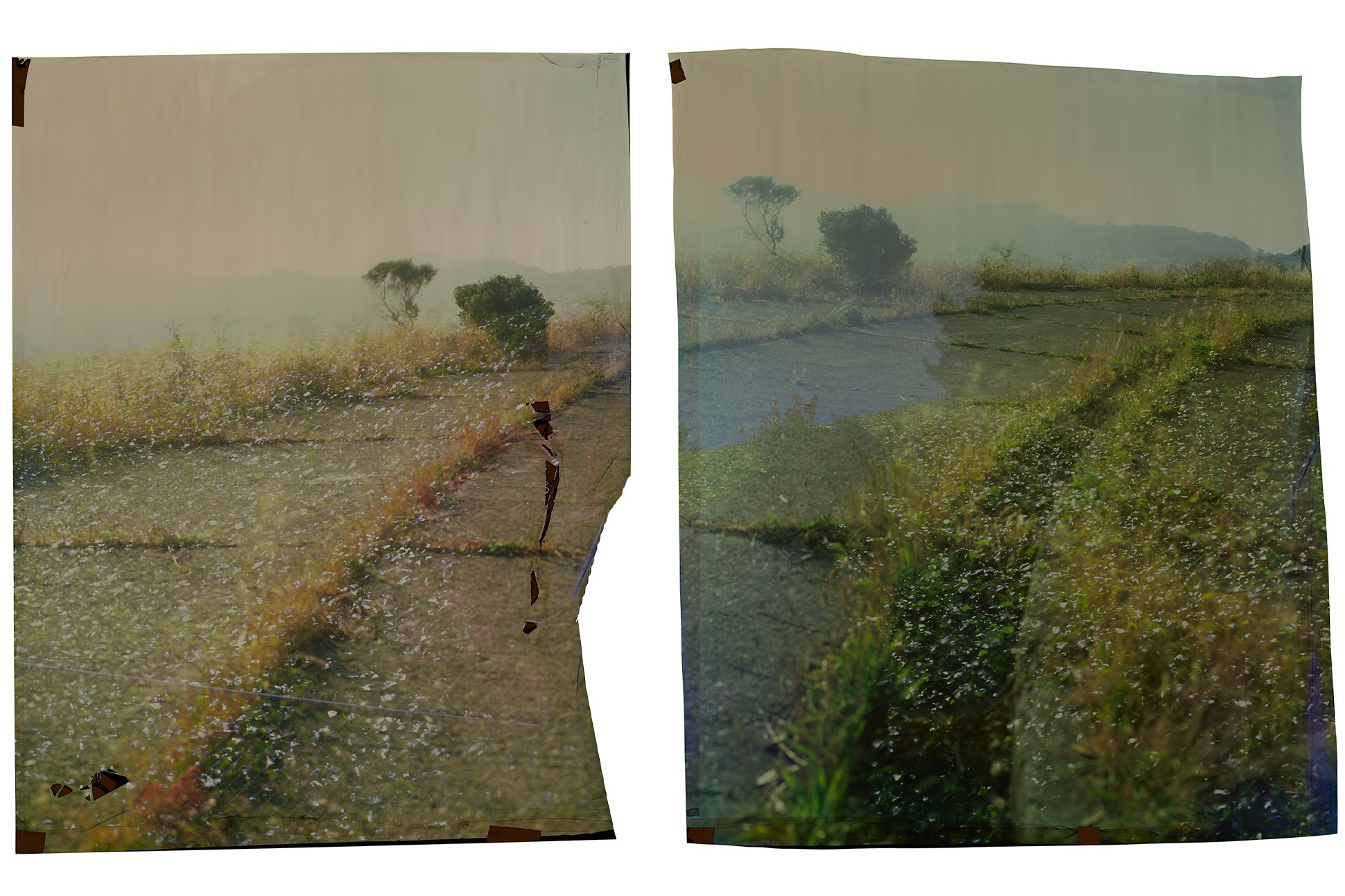 Two photos, separated by a white gap, that show a lush natural landscape.