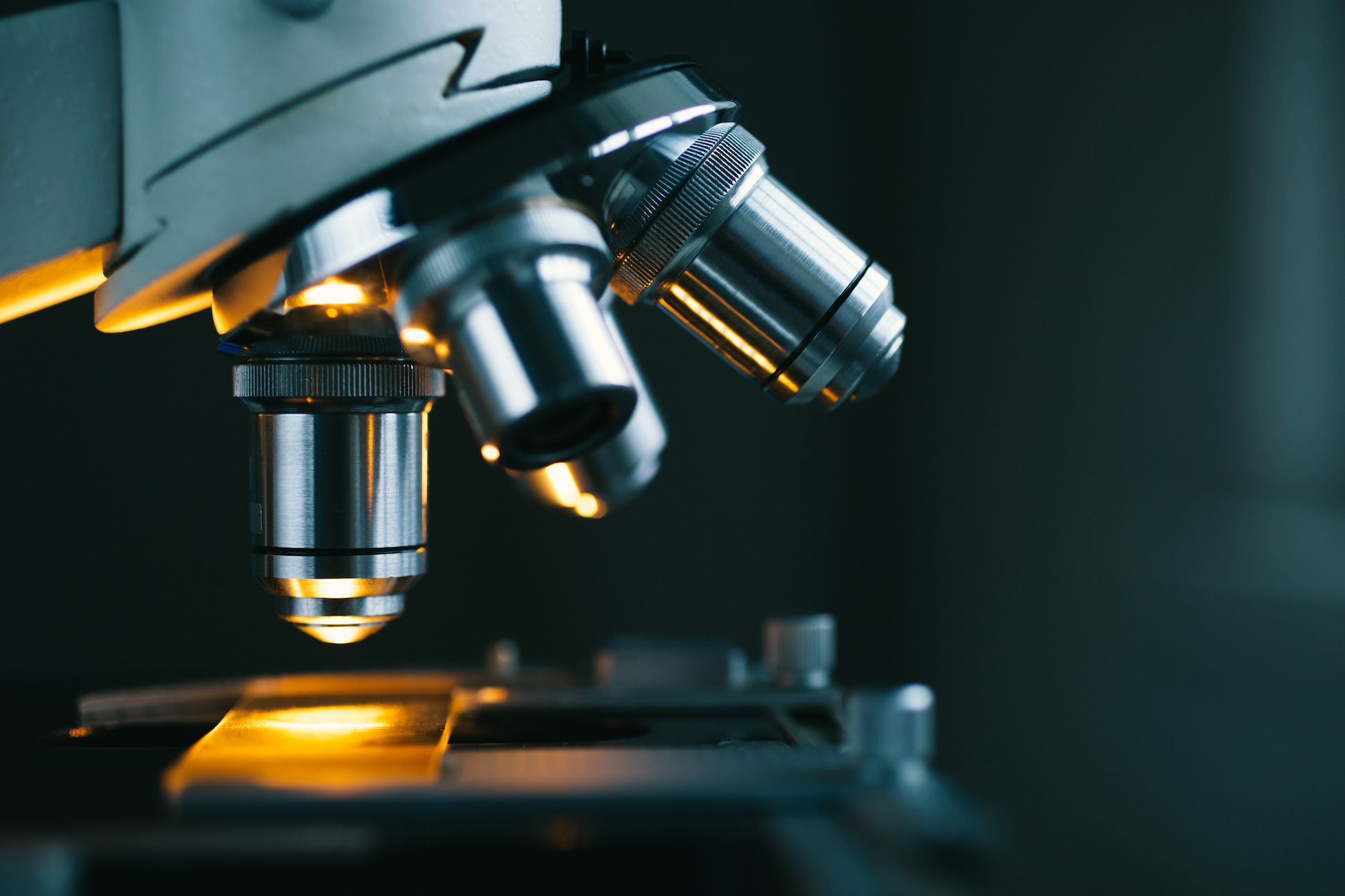 Image of the changeable lenses of a microscope.