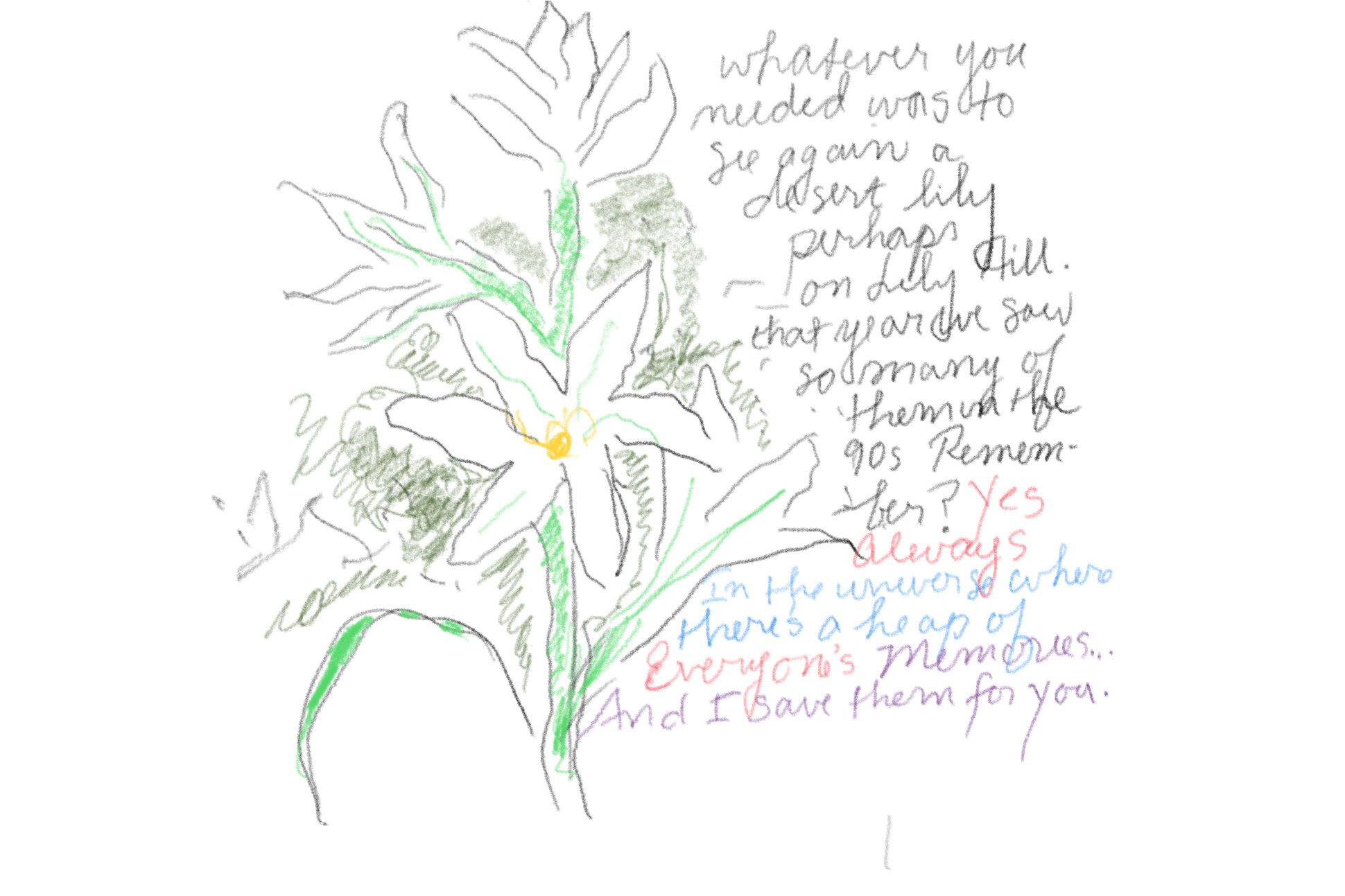 flower drawing and handwritten poem by Alice Notley, from her book Runes and Chords