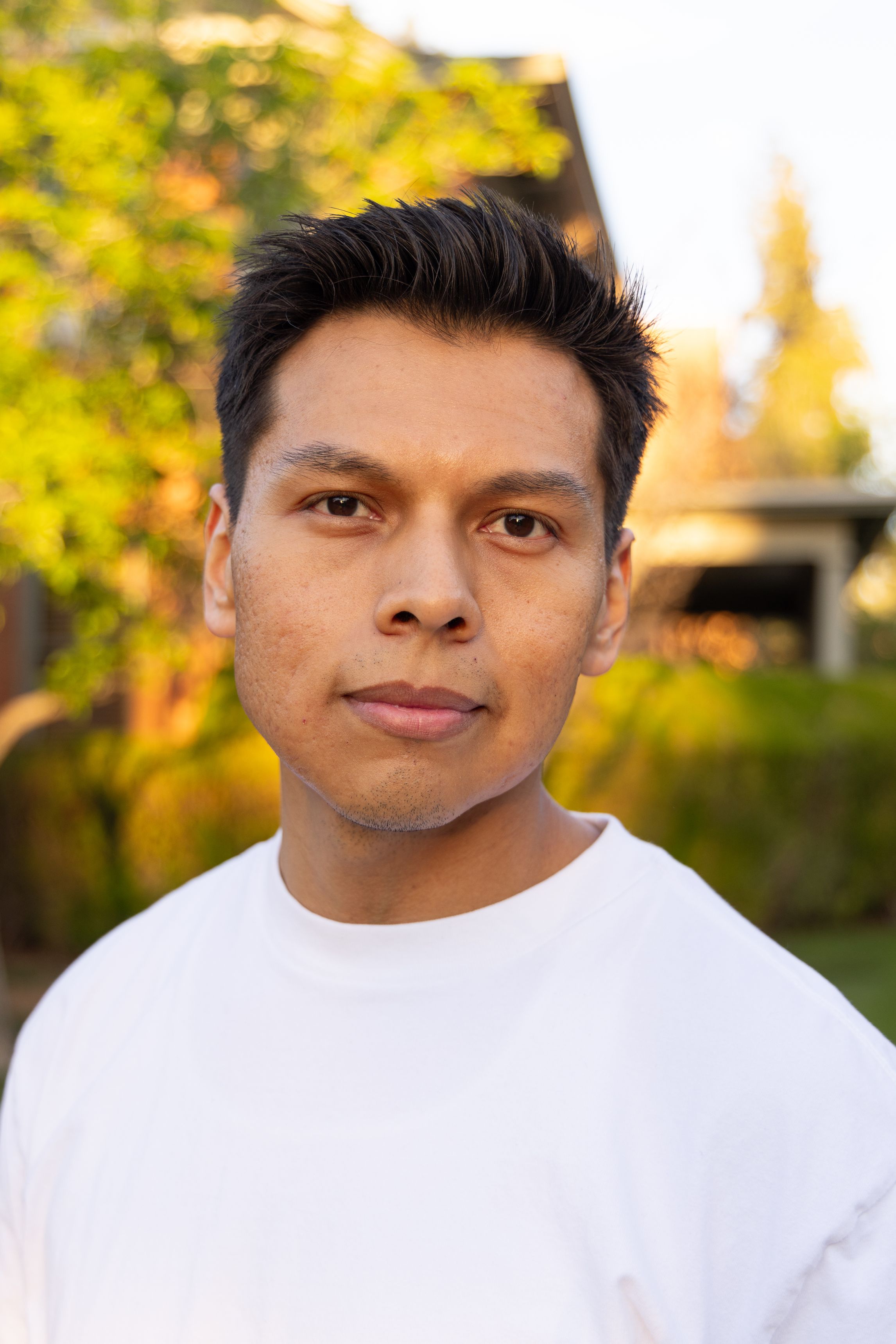 Headshot of Chris Hoshnic